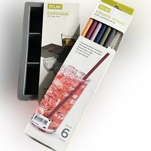 gift set: colossal ice cube tray & reusable silicone straws w/cleaning brush-NWT